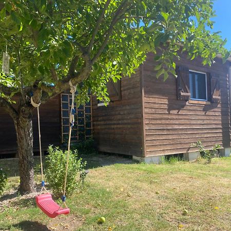 Le Chalet Pignantais Avec Option Jacuzzi Pignans المظهر الخارجي الصورة